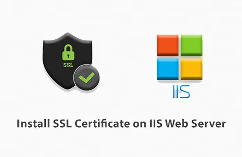 IIS主机装置SSL证书