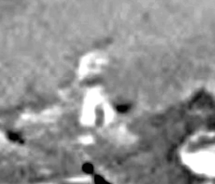 UFO专家Scott C.Waring称从“猎奇号”拍下的照片中发现火星“外星人”