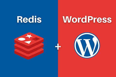 WordPress性能Redis对象缓存优化网站速度教程