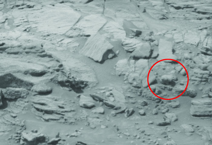 飞碟钻研网站“UFO Daily Sightings”编辑称从火星外表照片中发现疑似北极熊