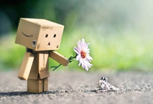 DISCUZ升级后不显示“选择文件上传”按钮