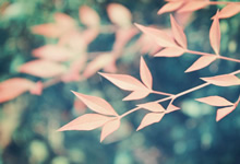 Nginx常用屏蔽规则，让网站更安全