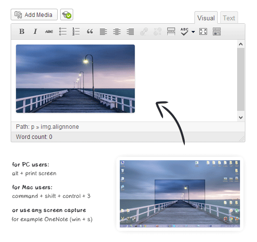 OnePress Image Elevator-WordPress图片粘贴上传插件